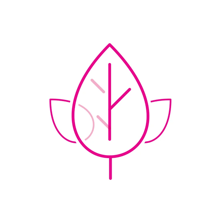 Curated Facials and DMK Enzymes